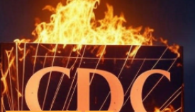 The CDC FOIA Office Closure: Legal Concerns and Prospects for FOIA Requests